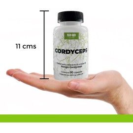 5h8 Hongo Cordyceps Energía Y Vitalidad 90 Cápsulas 400mg Sabor Sin sabor