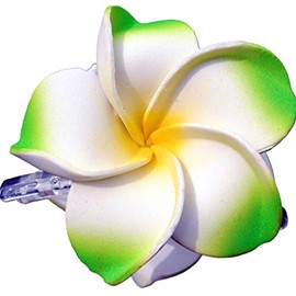 Sea Stars Bali Hawaii Hair Clip 2 Frangipani Flowers Made of Foam Rubber Hair Clip Green