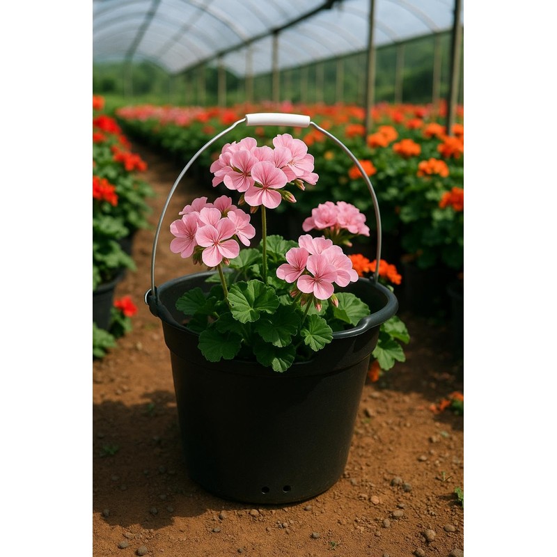 Multi Purpose Plastic Bucket with a Handle, 9-qt. House Cleaning,