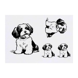 4 x 'Havanese Dog' Temporary Tattoos - Water Resistant, Skin-Safe, Non-Toxic Transfers, Mixed Sizes (TO00071412)