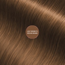 EVERPRO Gray Away Root Touchup Quick Stick, Light Brown, 0.1 Oz