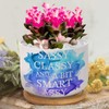 DecStic Sassy Classy and Smart Assy Planters Ceramic Quote Saying