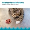 Catstages Plaque Away Pretzel Cat Toy – Interactive Catnip Dental