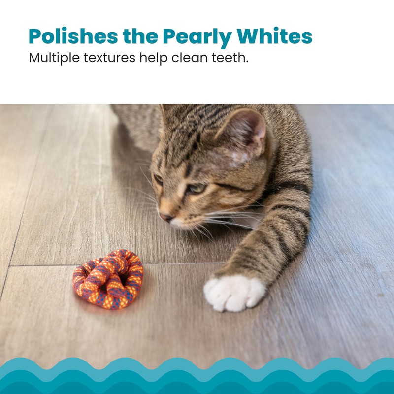 Catstages Plaque Away Pretzel Cat Toy – Interactive Catnip Dental