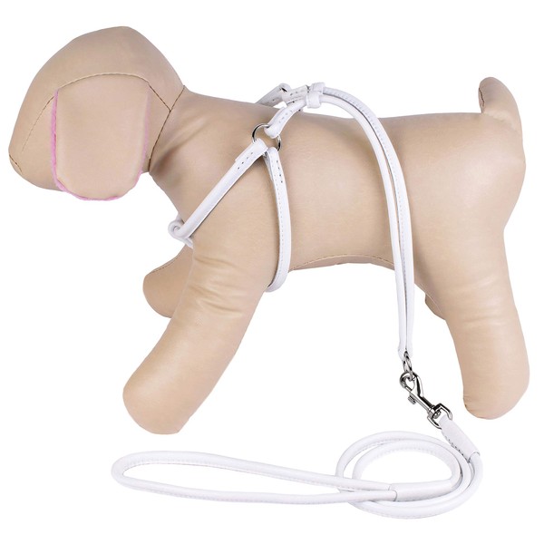CollarDirect Rolled Leather Dog Harness Small Puppy Step-in Leash Set
