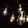Hometown Evolution, Inc. Vintage Edison Outdoor String Lights (ST40 Clear
