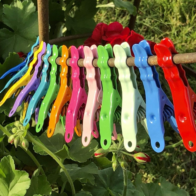 Henry Berry & Dairy Extreme Colour Clothespins - Stainless Steel