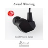 final VR3000 for Gaming [FI-VR3DPLMB] Wired Earbud Gaming Binaural Surround