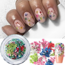 Dried Flowers for Nails, 3D Dried Flowers Nail Stickers 1 Box Mixed Color Natural Dry Floral Nail Art Supplies Spring Summer Manicure Art Decals Small Flower for Resin Craft Acrylic Nail Decoration