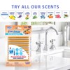 SANI 360° Sani Sticks Drain Cleaner and Deodorizer, 48 Count,