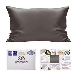 PROMEED Grade 6AA Mulberry Silk Pillowcase with Hidden Zipper 22 Momme, Oeko-TEX Certified, Both Sides Real Silk Pillow Cases Covers for Hair and Skin (Standard 20"x26", Grey)