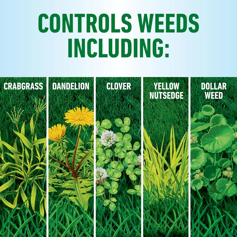 Roundup for Lawns₁ Ready-to-Use with Trigger Sprayer, Tough Weed Killer