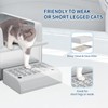 GarveeLife Stainless Steel Cat Litter Box 6 inch, XXL Large