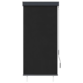 Benicabaly Heat Blocking Outdoor Roller Blind, Hand Crank Mechanism for Patio and Garden, 31.5" x 98.4", Anthracite
