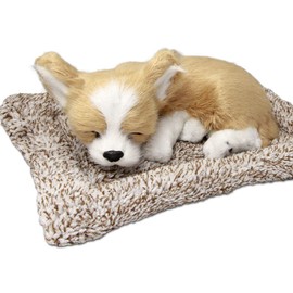 TATOTTE Dog Plush Toy Realistic Figurine, Cute Sleeping Face, Activated Carbon Included, Healing, Interior (Chihuahua, CR)