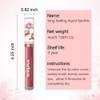 evpct 1Pcs Wine Red Matte Liquid Lipstick Lip Stain Sets