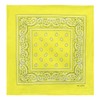 Laciteinterdite Set of 3 Paisley Bandanas for Men and Women,