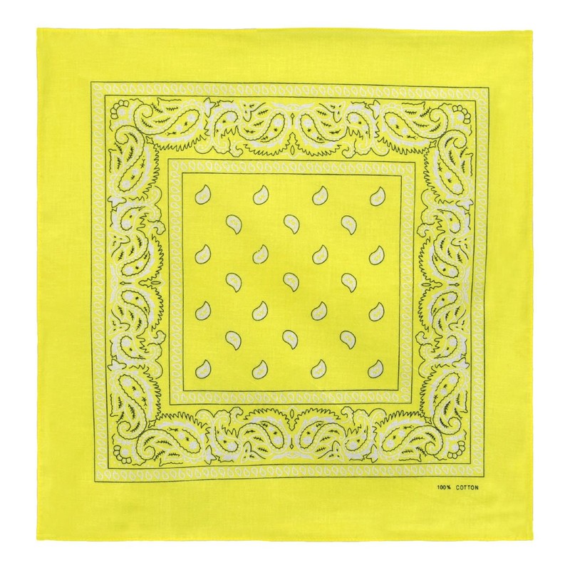 Laciteinterdite Set of 3 Paisley Bandanas for Men and Women,