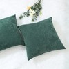 Amity.hy Pack of 2 Christmas Throw Pillow Covers Cases for