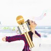 Professional BT Wireless Microphone Karaoke Speaker KTV Music Player Singing