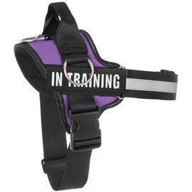 Essential Dog Harness, No Pull Pet Harness with 3 Side Rings for Leash Placement, No Choke, Reflective, Easy On-Off & Improved Control Handle, Training, Walking, Running (Purple, M)
