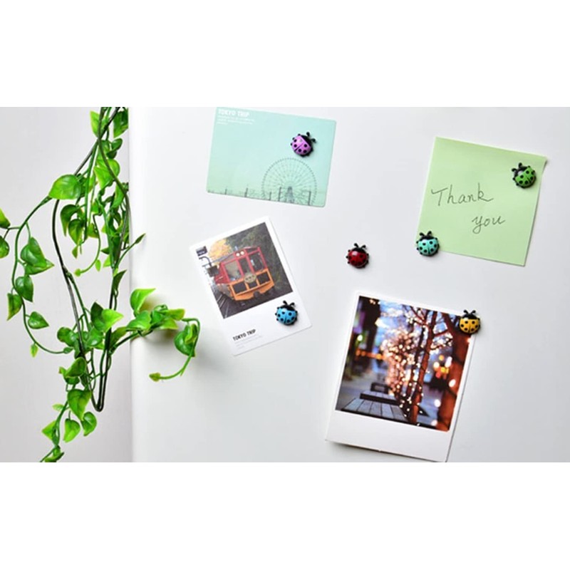 TXDAMAI Mini Ladybird Fridge Magnet 6 Pieces Creative Fridge Magnetic