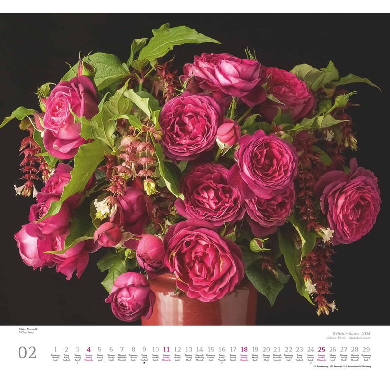 Kal. 2024 ...geliebte Rosen