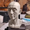 Generic Head Model for Artists, 2in1 Original & Planar Face,