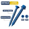 Kit de surtido de 232 piezas de tornillos para concreto