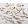 100PC Alligator Teeth for Making Gator Teeth Necklace Real Alligator