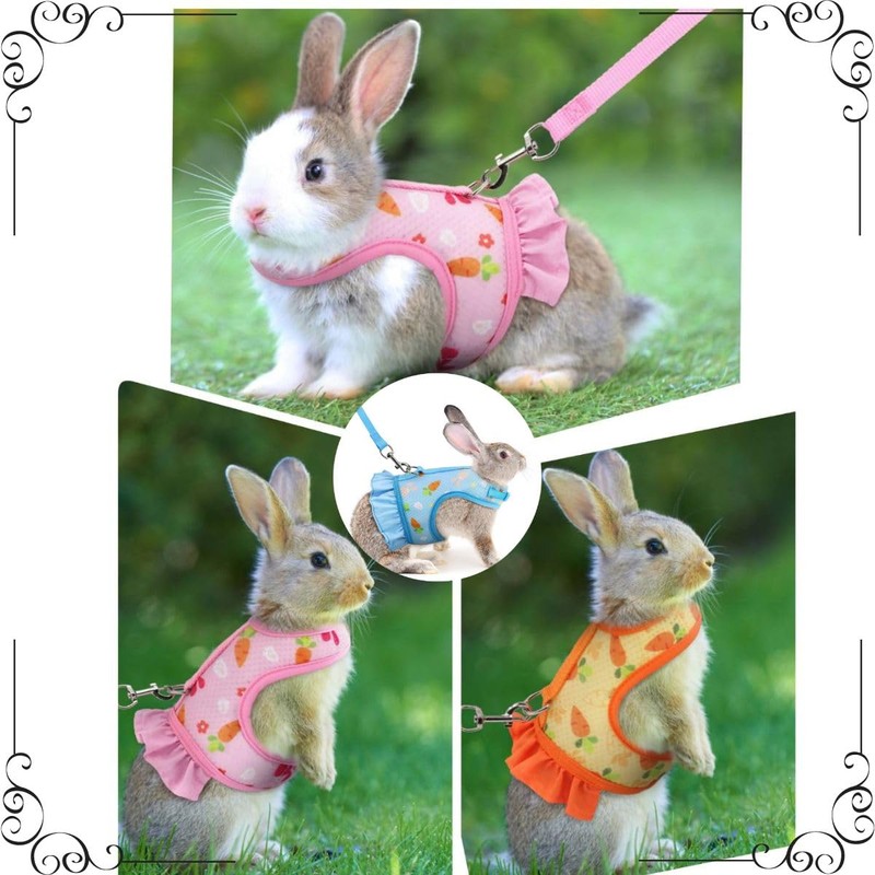 MMmall Rabbit Harness Lead, Rabbit Supplies, Rabbit Harness, Rabbit, Clothing,