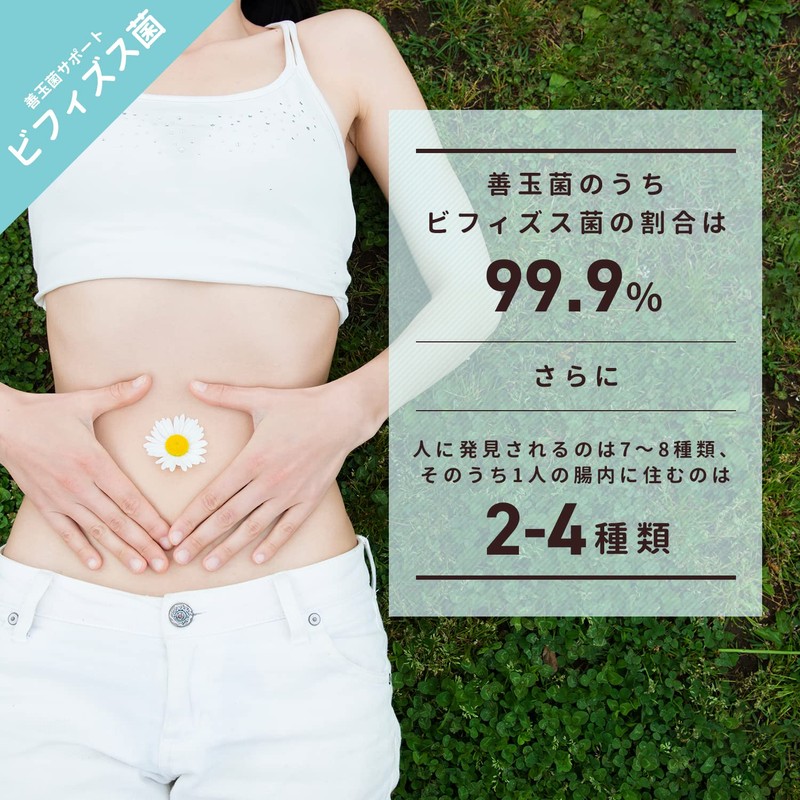 ビーレジェンド リアファイバー すっきりグレープフルーツ風味 300g 難消化性デキストリン デキストリン 食物繊維 乳酸菌 ビフィズス菌 オリゴ糖