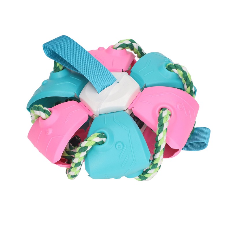 Interactive Outdoor Fly Ball Flying Saucer Ball Interesting Dog Soccer