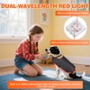 Red Light Ther/apy Back Belt for Dogs and Cats, Wireless