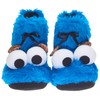 Sesame Street Cookie Monster 3D Slippers, Plush Booties, Sizes EU