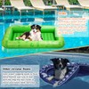 JellyArch Dog Float for Pool Inflatable Dog Pool Float for