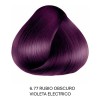 Tinte Anven 6.77 Rubio Obs Violeta Electrico+peroxido 20vol 6.77 Rubio