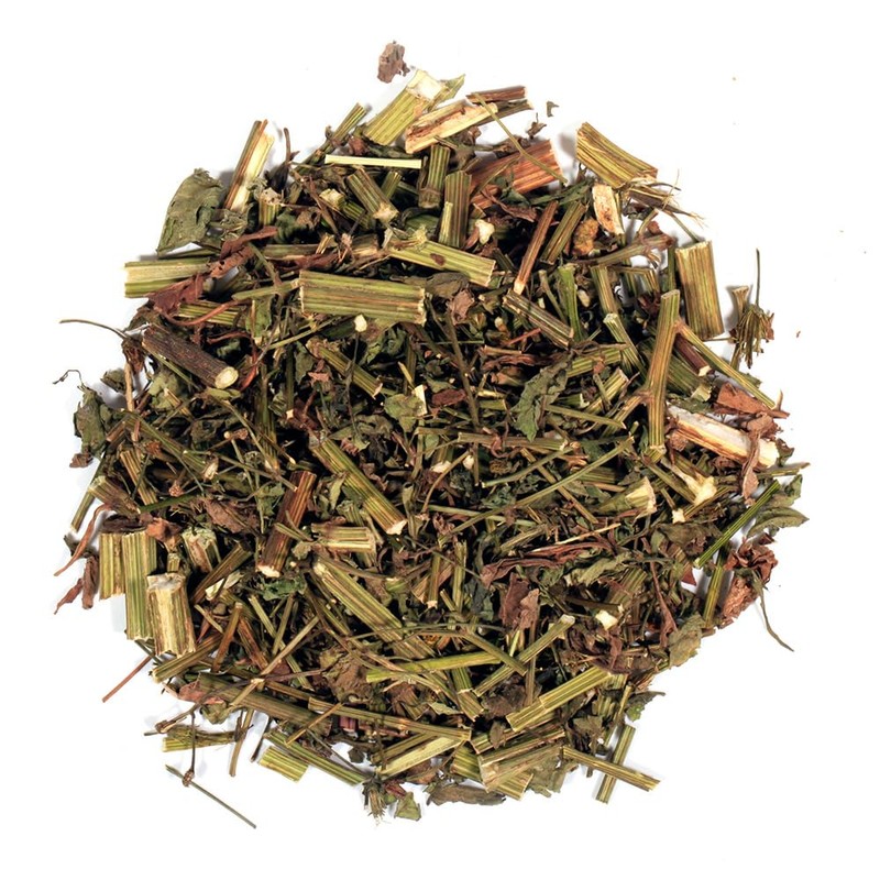 Hapsmiley Bidens Tripartita (Bidens Tripartita L./Trifid Bur-marigold/Gui Zhen Cao/귀신침 초)