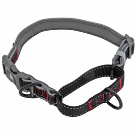 Leashboss Martingale Collar for Dogs | Reflective Nylon Dog Collar for Large Dogs, Medium and Small Dogs | No Pull Pet Training Collar Small | Quick Release Buckle, Adjustable Pet Collar