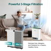 Jafanda True HEPA 13 Replacement Filter for JF239 & JF268,