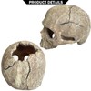 Aquarium Decoration for Fish Tank Skull Head Skeleton Aquarium Ornament