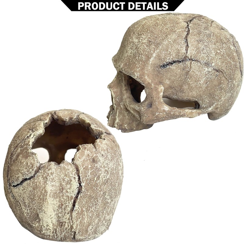 Aquarium Decoration for Fish Tank Skull Head Skeleton Aquarium Ornament