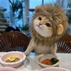 Lion Mane Costume for Cats Costume Pet Adjustable Washable Dress