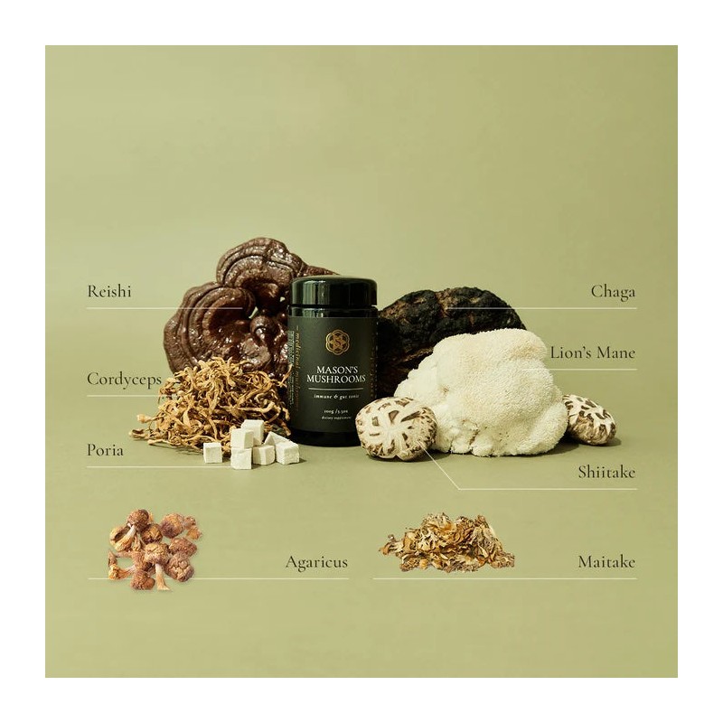 Superfeast Mason's Mushrooms 100g