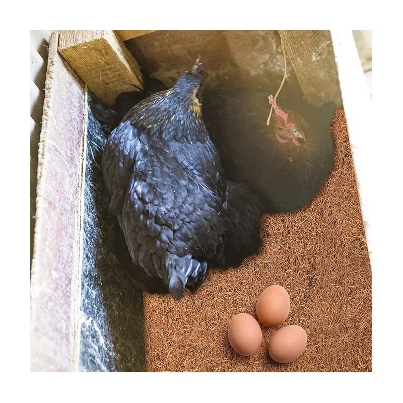 JOEN Chicken Nesting Pads 13x13 Inch for Hens, Fits Most