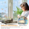 80pcs Rainbow Window Film, Bird Window Stickers Anti Collision, Butterfly