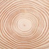 Natural Wood Slices Unfinished Wood Circles Ornaments Irregular Wood Slices