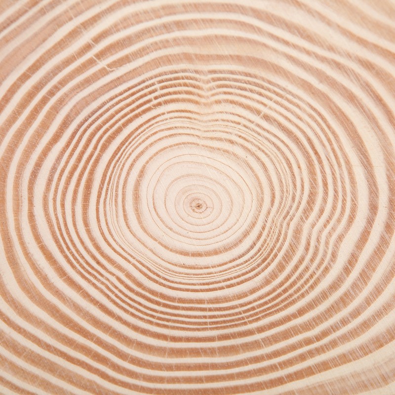 Natural Wood Slices Unfinished Wood Circles Ornaments Irregular Wood Slices