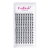 Fan Volume Eyelashes, 12D, 0.07 mm, C Curl, 13 mm
