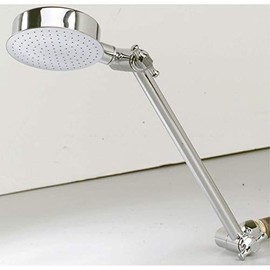 Whedon Showerhead Elephant, Hi-Lo Pan 10 " Chrome Plated, Solid Brass